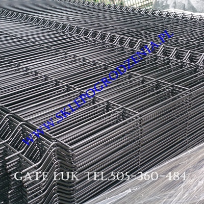 ogrodzenia Bielsko-Biała sklep z ogrodzeniami Ogrodzenia panelowe Panele 3D Kolor 4mm/4mm Panel czarny 